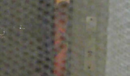 آریل الکسیس در سینه بند قرمز کرم را از روی خروس یک دوست لیس می زند و به تصاویر سکسی خارجی الاغ می دهد