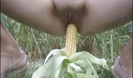 مردی در هنگام رابطه عکسهایسکسیخارجی جنسی مقعد شیر را به الاغ مادرم می ریزد