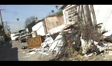 خال کوبی سبزه یک عكس سكسي خارجي عضو گونه در مربی را در خانه می گیرد