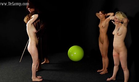 سیب زمینی سرخ کرده فرانسوی در الاغ خود با سگهای کوچک سگ کوچولو انتخاب شده است عکس سوراخ کون خارجی